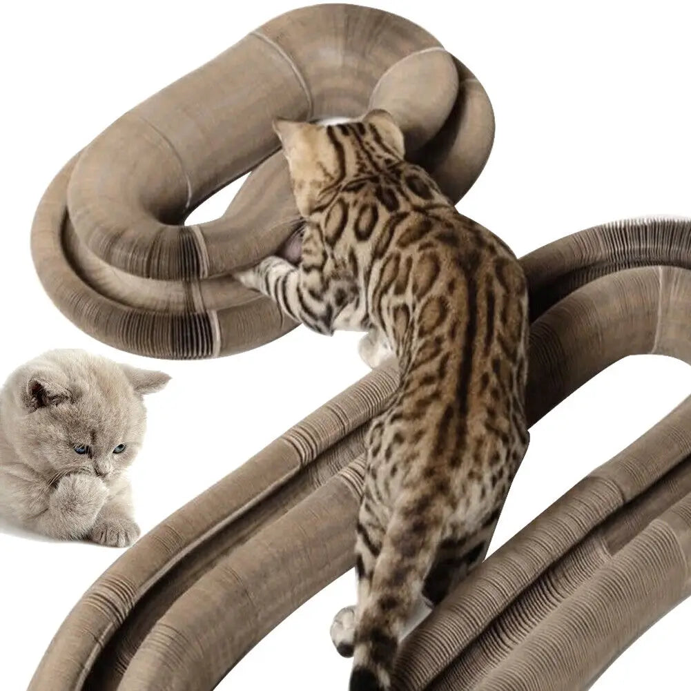 Arranhador Circular cat scratcher