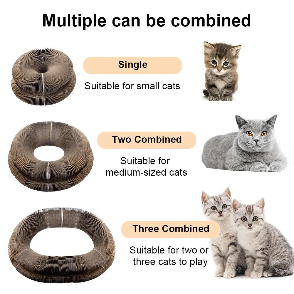 Arranhador Circular cat scratcher